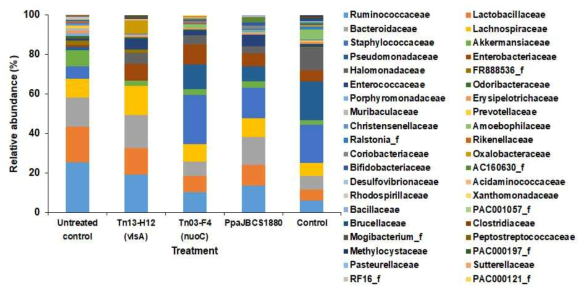 Relative abundance of major bacterial families in the phyllospheres of control and treated soybean plants. Bacterial families were compared between leaves with different treatments of wild type (PpaJBCS1880), mutant Tn13-H12 (△vlsA) and Tn03-F4 (△nuoC), and challenged with Xanthomonas axonopodis pv. glycines (control)