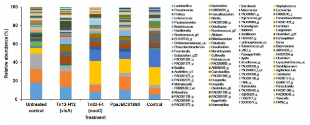Relative abundance of bacterial genus on the phyllosphere of soybean plants. Bacterial abundance in the leaves treated with wild type (PpaJBCS1880), mutant Tn13-H12 (△vlsC) and Tn03-F4 (△nuoC), and challenged with Xanthomonas axonopodis pv. glycines (control) were compared