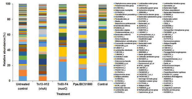 Relative abundance of major bacterial species in the phyllospheres of control and treated soybean plants. Bacterial abundance in the leaves treated with wild type (PpaJBCS1880), mutant Tn13-H12 (△vlsA) and Tn03-F4 (△nuoC) were challenged with Xanthomonas axonopodis pv. glycines (control) and compared with untreated control