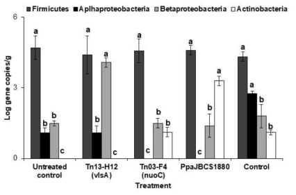 Comparative analysis of bacterial abundances. The abundance of Firmicutes, Alphaproteobacteria and Betaproteobacteria in the phyllosphere was assessed by taxon-specific qPCR. Data are presented as the log of gene copies of each bacterial group per gram leaves±SE. Bars with the same letter(s) do not differ significantly at P=0.05 for a given treatment