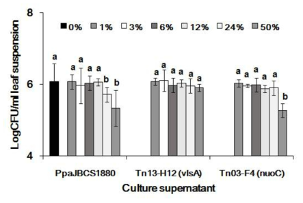 Influence of cell free culture supernatant of PpaJBCS1880 and its mutant strains on total bacteria on leaves. The wells of 12-well culture plate were filled with 1% PDB (0.6 ml per well) with CFS of PpaJBCS1880,Tn13-H12 (vlsC), orTn03-F4 (nuoC) strains to a final concentration of 1%, 3%, 6%, 12%, 24% and 50%. and phyllosphere microbial cell suspension was then poured in the PTFE cylinder. After 24 h of incubation at 28℃, the suspension was serially diluted and plated in LB medium to estimate the phyllosphere bacteria. Data represent mean log cfu/ml of phyllosphere suspension with standard error. Different letters above the bars indicate significant differences at P = 0.05
