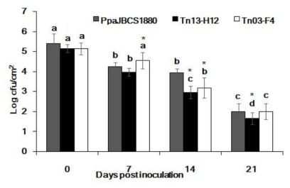 Population dynamics of Pseudomonas parafulva PpaJBCS1880 and its mutant strains in soybean leaves. Soybean plants were inoculated with each bacterial suspension and the plants were cultivated in a plant growth room. The bacterial populations in the leaves were monitored after 0, 7, 14, and 21 days post inoculation. Bars with the same letter(s) do not differ significantly for respective treatment throughout the time-points at P=0.05. Difference in population of respective mutant as compared to PpaJBCS1880 at a particular time-point was determined using Student’s t-test and *indicate wherever significant difference was observed. Vertical bars indicate (±) standard error