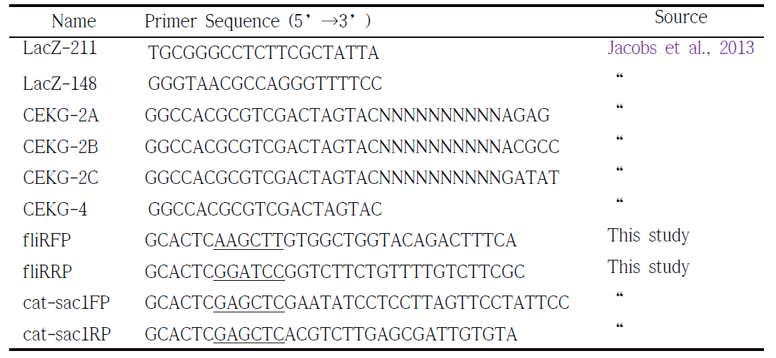 Primers used in this study