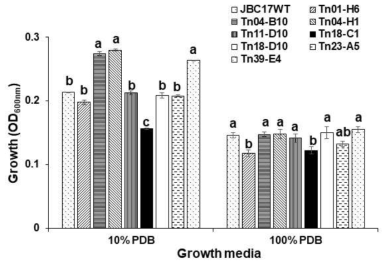 Comparison of growth of Pseudomonas putida JBC17 and its mutants in nutrient rich and poor media. Growth was assessed in fresh nutrient-limited (10% PDB) and -rich (100% PDB) media were inoculated with each mutant cell (OD600=0.05) and incubated at 28°C with shaking at180 rpm. Growth was compared to that of wild type 12 h after incubation for 100% PDB and 24 h for 10% PDB. The data represent mean±standard deviation of the replications and he same letters are not significantly different at P<0.05 according to the Tukey’s test