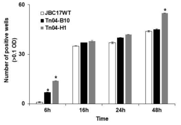 Number of carbon substrates utilized by Pseudomonas putida JBC17 and its flagella-related mutants. The number of wells that showing color development by Tn04-B10 (fliH) and Tn04-H1 (fliR) was assayed using Biolog GN2 microplate at 6, 16, 24, and 48 h after incubation and compared to wild type. Data are presented as mean±standard deviation of three replicates and values marked by an asterisk (*) are significantly different at each time point at P<0.05 according to Students’ t-test