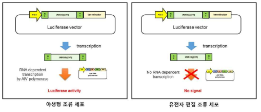 In vitro polymerase assay