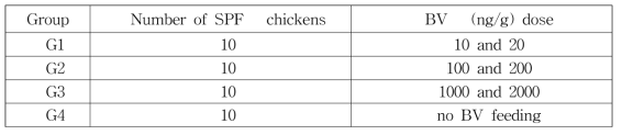 SPF 닭에서 H9N2바이러스 대응 봉독 시험군