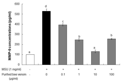Effect of purified bee venom on MMP-9 production in MSU-induced RAW 264.7 cells. The data are presented as mean±SD. Different letters indicate statistically significant differences between groups(one-way ANOVA test, p≤0.01)