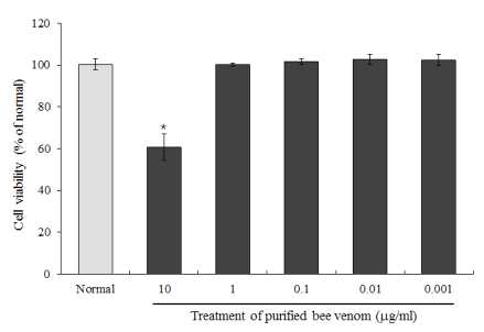 Cell viability of purified bee venom on MAC-T cells by WST-8 assay. The cells were treated with various concentrations of purified bee venom for 24 hr. Data are presented as mean±SEM of three independent experiments. Normal is cell only. The asterisk indicates a significant difference with P＜0.05