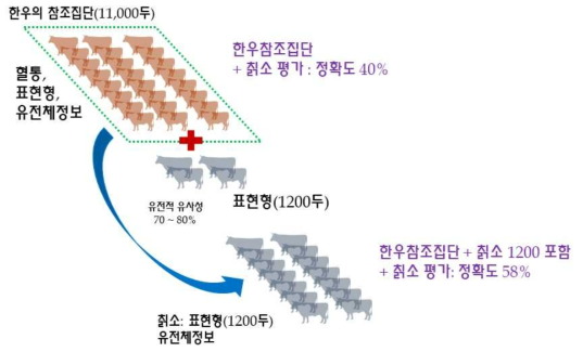 칡소의 유전평가 사례