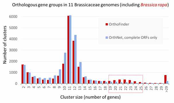 Mesopolyploid인 십자화과 작물종이 Brassica rapa 를 포함한 11종의 십자화과 유전체로부터 상동 유전자 클러스터 cluster를 OrthoFinder와 OrthNet을 이용하여 탐색한 결과