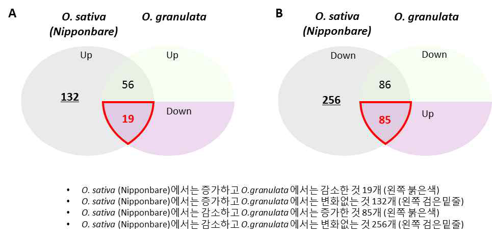 O. sativa (Nipponbare)와 O. granulata 음지 처리시 유의한 발현 변화를 보이는 유전자들의 벤다이어그램