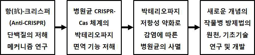 항(抗)-크리스퍼 (Anti-CRISPR) 단백질 연구를 통한 병방제 전략