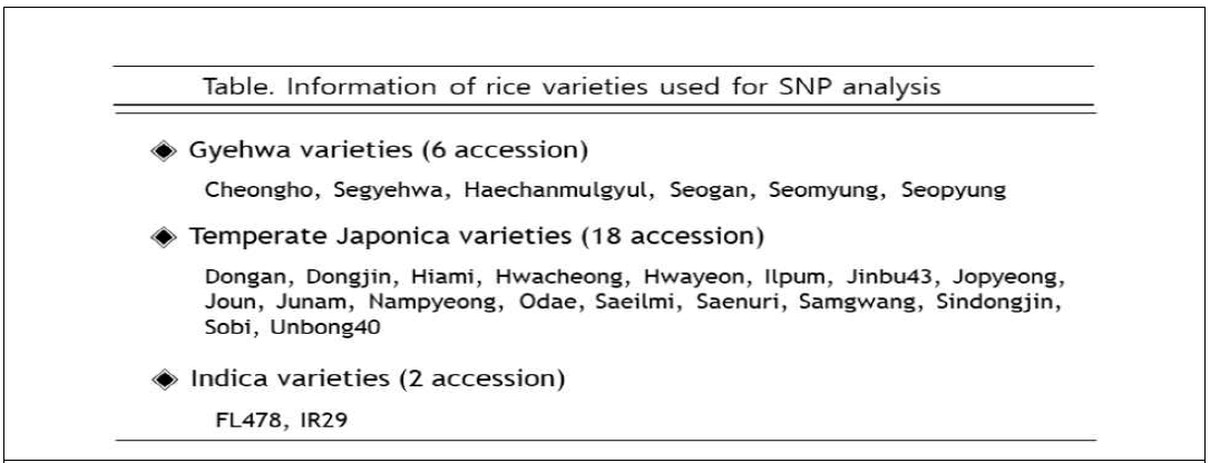 계화벼 계열의 SNP genotyping 분석에 이용된 품종 목록