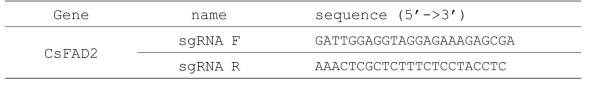 CsFAD2 유전자 편집용 sgDNA 클로닝을 위한 프라이머