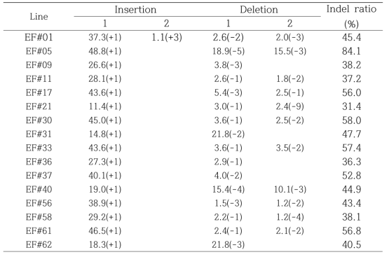 Sanger sequencing을 이용한 EF 형질전환 카멜리나의 indel ratio 분석