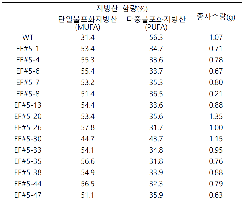 EF#5 T2 카멜리나 종자의 지방산 함량과 종자수량