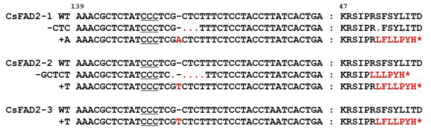 CsFAD2 편집 카멜리나의 3개의 homoeolog에서 일어난 돌연변이의 유형. 빨간색 글자는 WT과는 달라진 부분을 나타내고 점과 별표는 각각 결실과 번역종료를 뜻한다. 밑줄은 Cas9-sgRNA complex가 인식하는 PAM 서열
