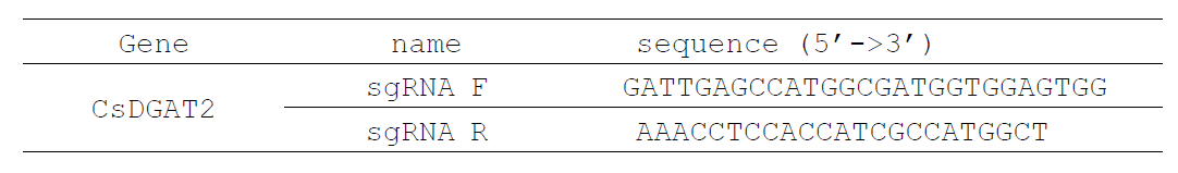 CsDGAT2 유전자 편집용 sgDNA 클로닝을 위한 프라이머