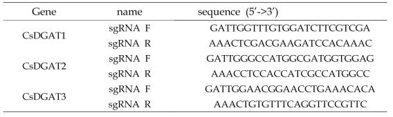 CsDGAT1, 3 편집을 위한 sgRNA 삽입용 프라이머 염기서열