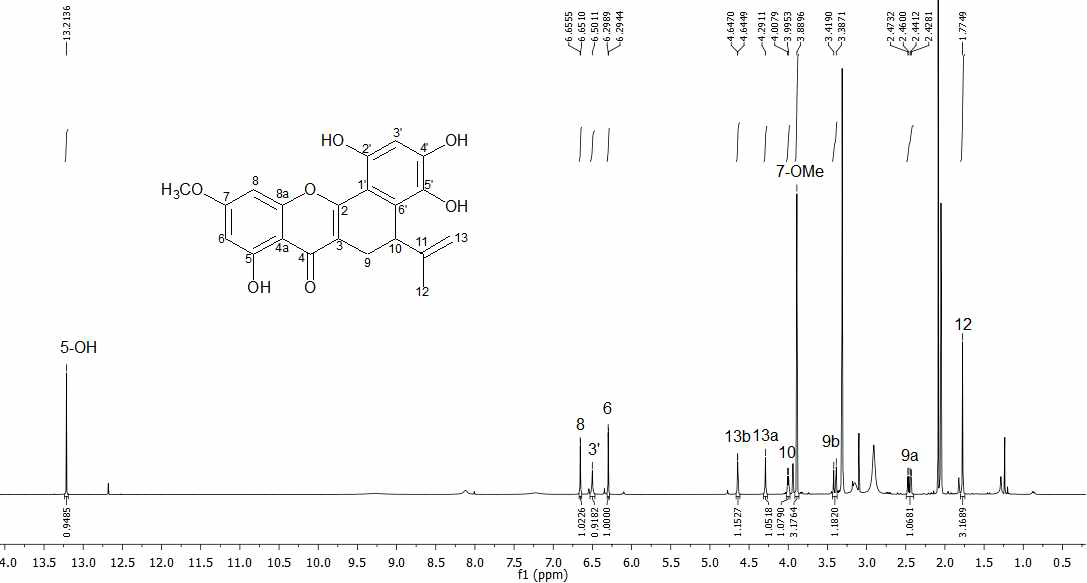 화합물 1의 1H-NMR 스펙트럼 (500 MHz. acetone-d6)