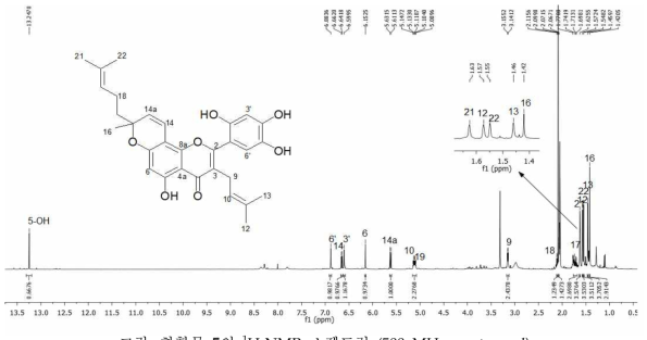 화합물 5의 1H-NMR 스펙트럼 (500 MHz. acetone-d6)