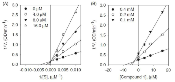 화합물 1의 α-glucosidase 저해 활성. (A) α-glucosidase에 대한 Linewerver-Burk plots, (B) α-glucosidase에 대한 Dixon plots