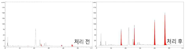 처리 전 및 처리 후의 크로마토그램 비교