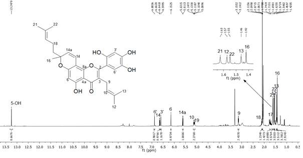 화합물 2의 1H-NMR 스펙트럼 (500 MHz, Acetone-d6)