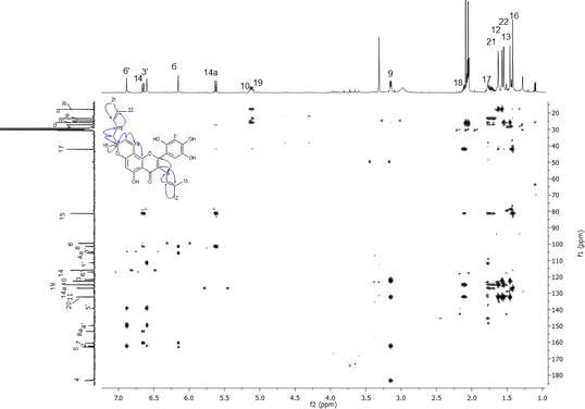 화합물 2의 1H-13C HMBC 스펙트럼 (500 MHz, Acetone-d6)