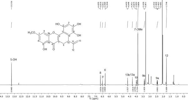 화합물 6의 1H-NMR 스펙트럼 (500 MHz, Acetone-d6)