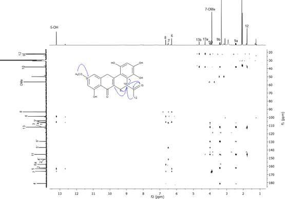 화합물 6의 1H-13C HMBC 스펙트럼 (500 MHz, Acetone-d6)