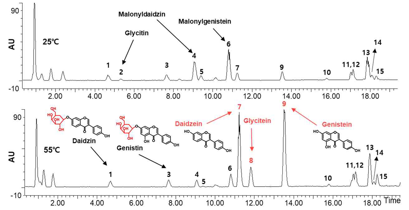 고온 침지수를 이용한 isoflavone 함량 분석 결과