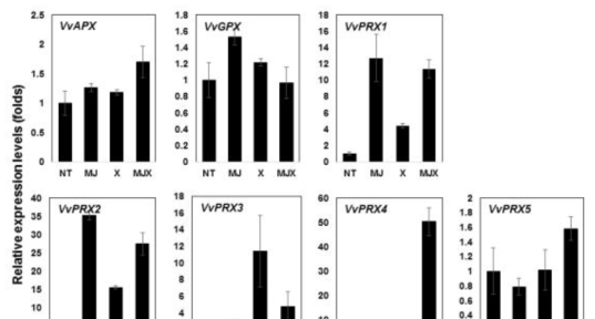 Elicitor를 처리한 포도배양세포에서 Peroxidase 유전자 발현분석(RT-PCR)