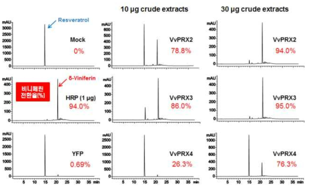 VvPRXs 과발현 형질전환 애기장대 식물체의 잎 추출물에서 레스베라트롤의 델타-비니페린으로의 전환 활성 확인(HPLC 분석)