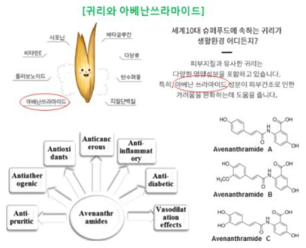 귀리의 효능 및 아베난쓰라마이드