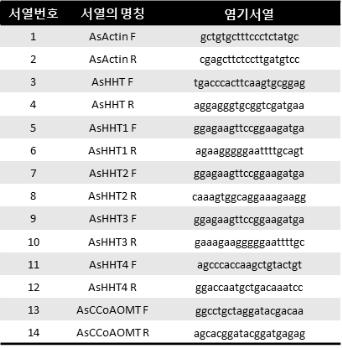 유전자 발현분석에 사용된 primer 염기서열