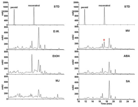 다양한 Elicitor를 처리한 땅콩새싹에서의 레스베라트롤 함량 조사(HPLC 분석)