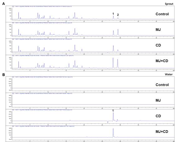 땅콩 새싹 및 배양액 시료에서 Elicitation에 의해 증가된 대사체 분석(HPLC)