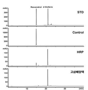 고삼 배양액을 이용한 레스베라트롤의 생물전환 결과물의 HPLC 분석 결과