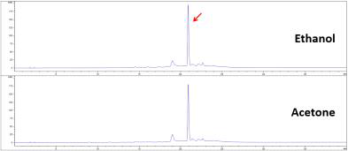 레스베라트롤의 용매로서 에탄올과 아세톤을 이용한 생물전환된 델타-비니페린 함량 비교(HPLC 분석)