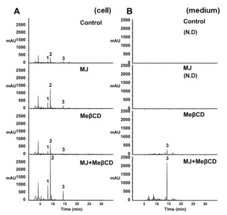 활성유도제 처리를 통한 난용성 물질의 가용화 HPLC 분석 결과