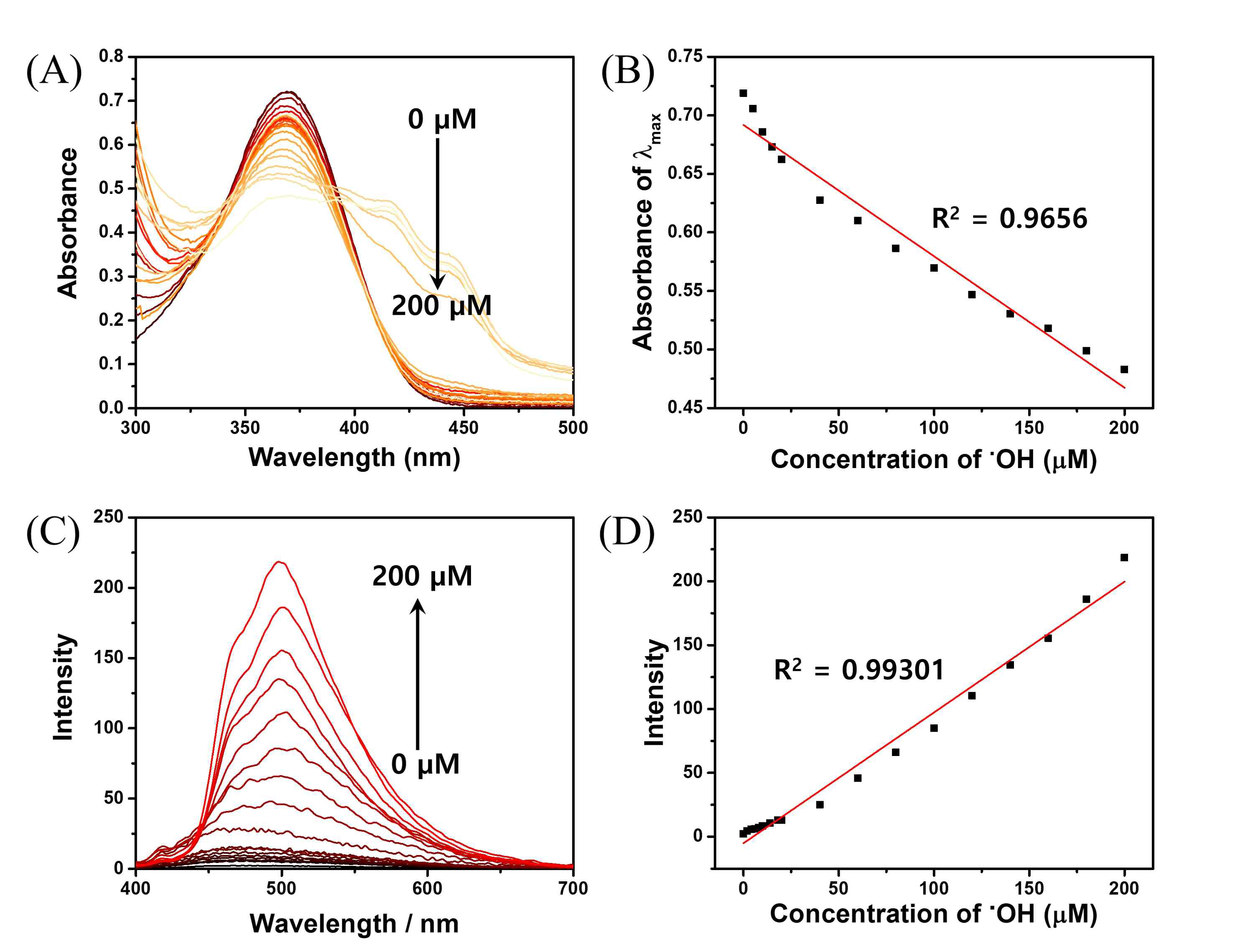 (A) 여러 농도의 하이드록시 라디칼에 대한 프로브 1의 UV-VIS 스펙트럼 (B) UV-VIS 스펙트럼의 흡광도 변화 (C) 여러 농도의 하이드록시 라디칼에 대한 프로브 1의 형광 스펙트럼 (D) 하이드록시 라디칼에 대한 프로브 1의 형광세기 변화