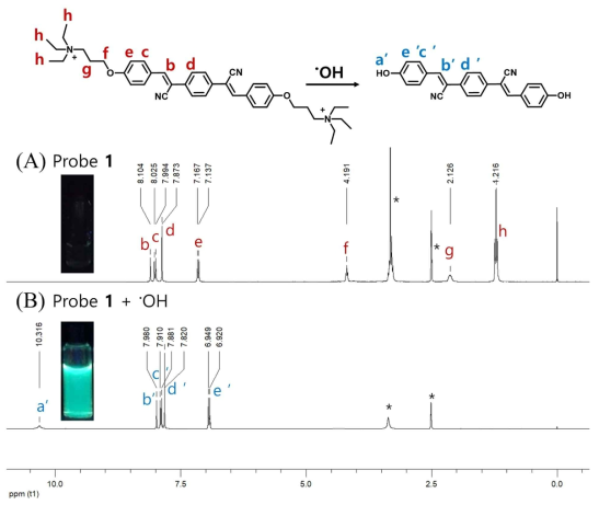 하이드록시 라디칼 처리 전후의 프로브 1의 1H-NMR
