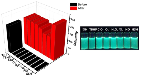 여러 종류의 활성산소종 하에서 하이드록시 라디칼 처리 후 형광 세기 변화 확인