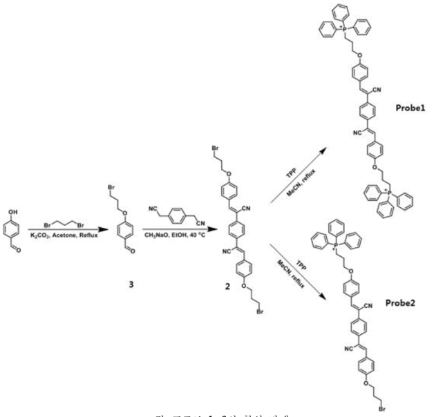 프로브 1, 2의 합성 단계