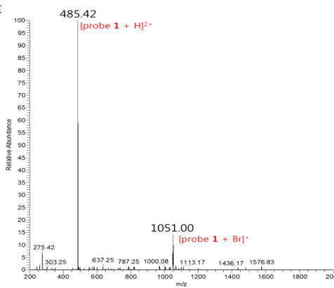 프로브 1의 ESI-MS 스펙트럼