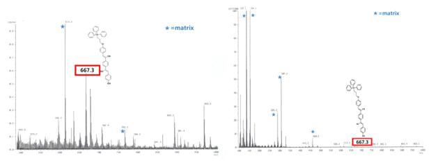 활성산소 첨가 후 프로브 1의 MASS 스펙트럼 (좌: 차아염소산 (ClO-), 우: 단일항 산소 (1O2))