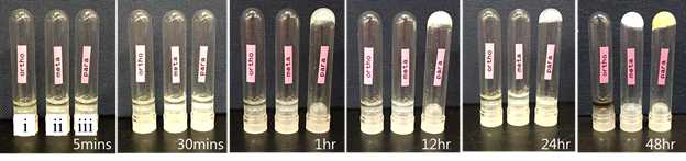 시간경과에 따른 나노고분자 형성 사진