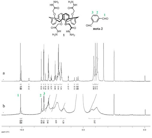 나노고분자형성 전후 NMR 스펙트럼 (화합물 1 28 mM, meta-2 56 mM, 300 MHz, DMSO-d) (a)용액상태, (b) 나노고분자상태